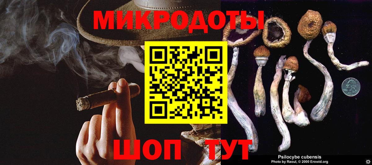Комсомольск-на-Амуре  Псилоцибиновые грибы GOLDEN TEACHER  Вход с VPN 